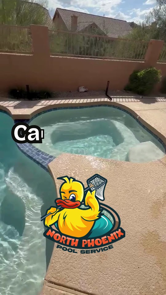 North Phoenix Pool Service project